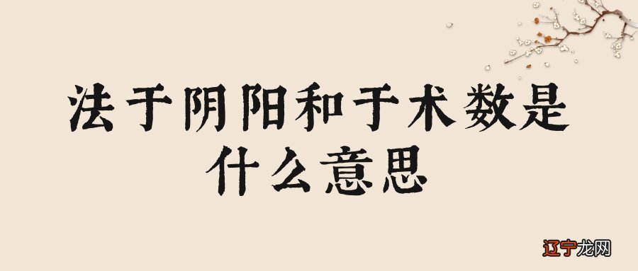 法于阴阳和于术数是什么意思(法于阴阳知于术数还是和于术数)