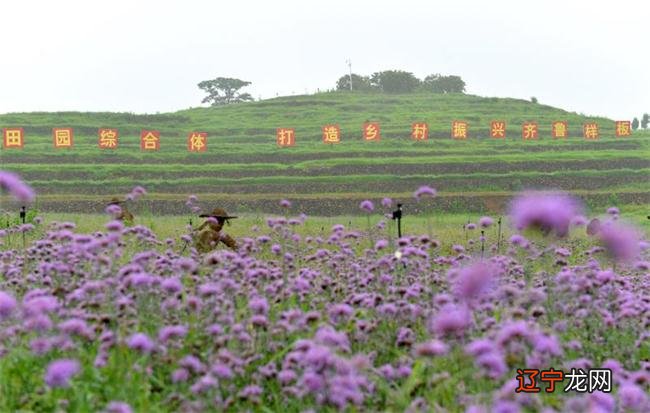 闽都民俗园上演特色民俗盛宴_日照市民俗科普_日照工商银行市中支行