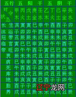 八字命理分析详解视频_如何分析八字命理_八字命理基础知识，十二地支详解