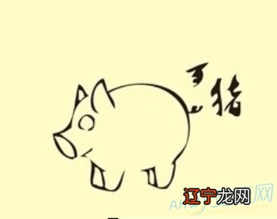 属猪五行喜什么生肖_五行属金生肖属猪的吉字?_2007猪五行属什么