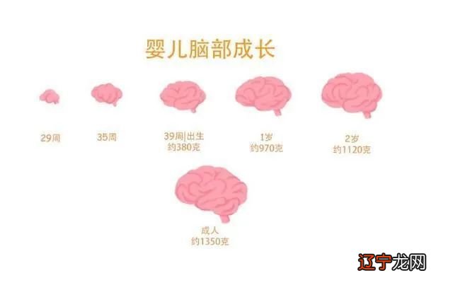 统计称高校每年发展大学生党员人数超全国发展数1/3_大南岳衡山旅游发展高峰论坛_术数的发展的高峰期