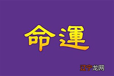 2016年运势12生肖运势_1976年属龙人2016年运势_12生肖属蛇2016年运势