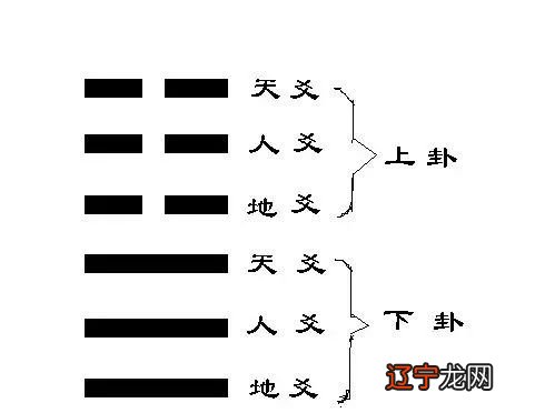 基础护理知识重点知识_周易入门基础讲解_周易4柱基础知识