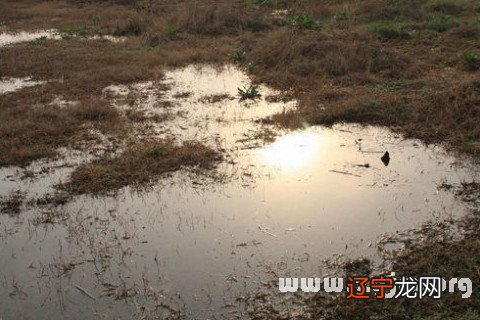 梦见污水洗澡_梦见好多污水周公解梦_梦见房间污水满地流