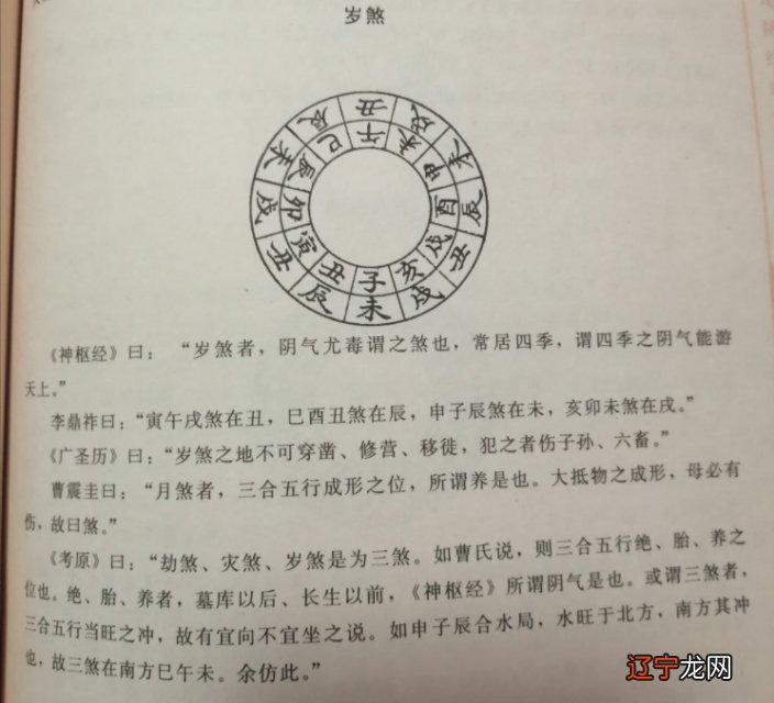 曲炜八字甲木_甲日会木局八字_八字里面木局有进是什么意思