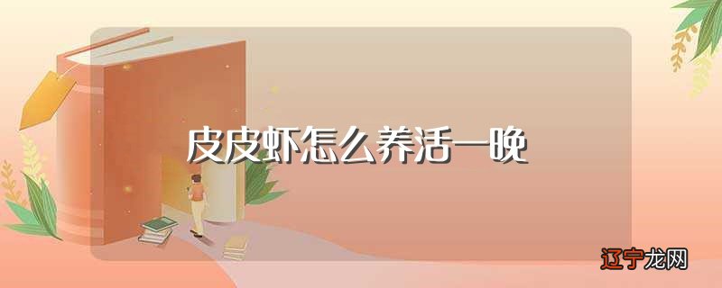 皮皮虾怎么养活一晚（皮皮虾活一晚的方法）