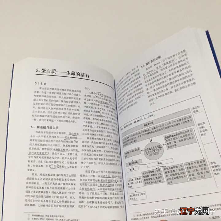 象数易学入门心得_象数入门的书_术数入门那本书