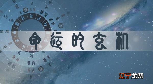 什么人适合学易经_适合学中医的八字_八字看适合学易经