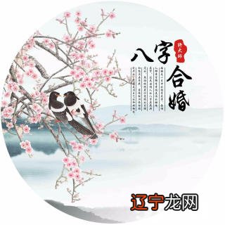 易经算命生辰八字合婚_夫妻八字配对历八字合婚免费测试_易经八字合婚