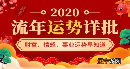 属龙人2019年健康运势_属羊的健康与运势_生肖属鼠健康运势