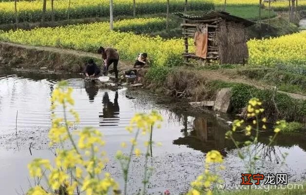 梦见自己掉井里_梦见自己掉水里了什么意思_梦见小孩掉井里啥意思