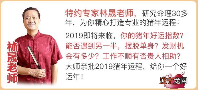 属猪的适合找什么生肖_结婚属蛇的忌什么生肖_属狗的跟什么生肖适合结婚