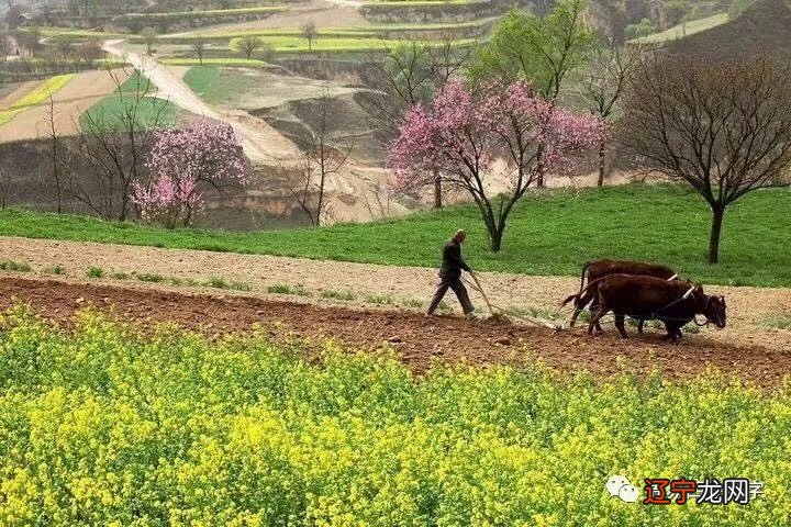 涵辰新派八字排盘软件_新派八字吧_传统八字与新派八字