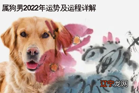 属牛2019年生肖运程_2019年生肖属鸡人全年运程_78年属马人2019年运程