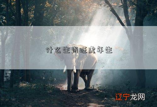 什么生肖旺虎年生