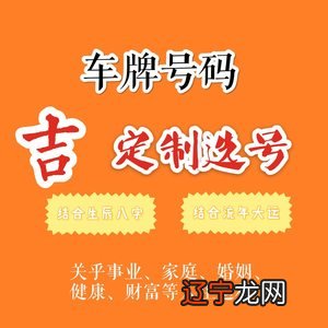 车牌摇号怎么摇好号_车牌号占卜_深圳车牌摇号公众号