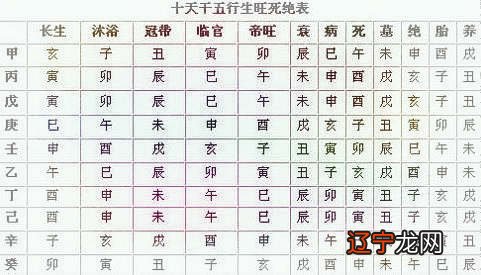 从事律师业这一行的八字特征_八字带天医从事的职业_八字纯阳人的最宜从事的工作