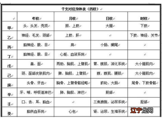 从事律师业这一行的八字特征_八字纯阳人的最宜从事的工作_八字带天医从事的职业