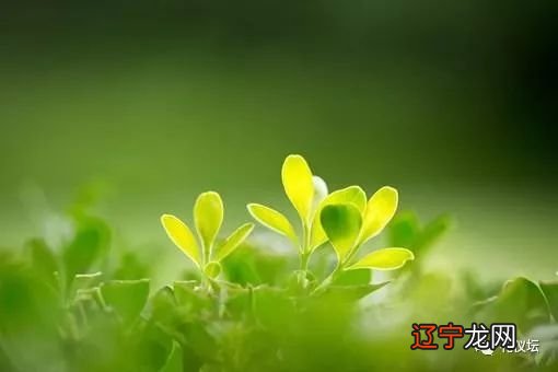 2020年犯太岁的生肖具体有哪几个?中需要注意什么