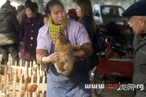 梦见别人剃我头发_梦见妹妹怀孕剃秃头顶_梦见剃鸡肉