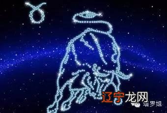 欧洲权威星座专家分析的12星座特点_星座风象火象水象土星是哪些_地象星座特点