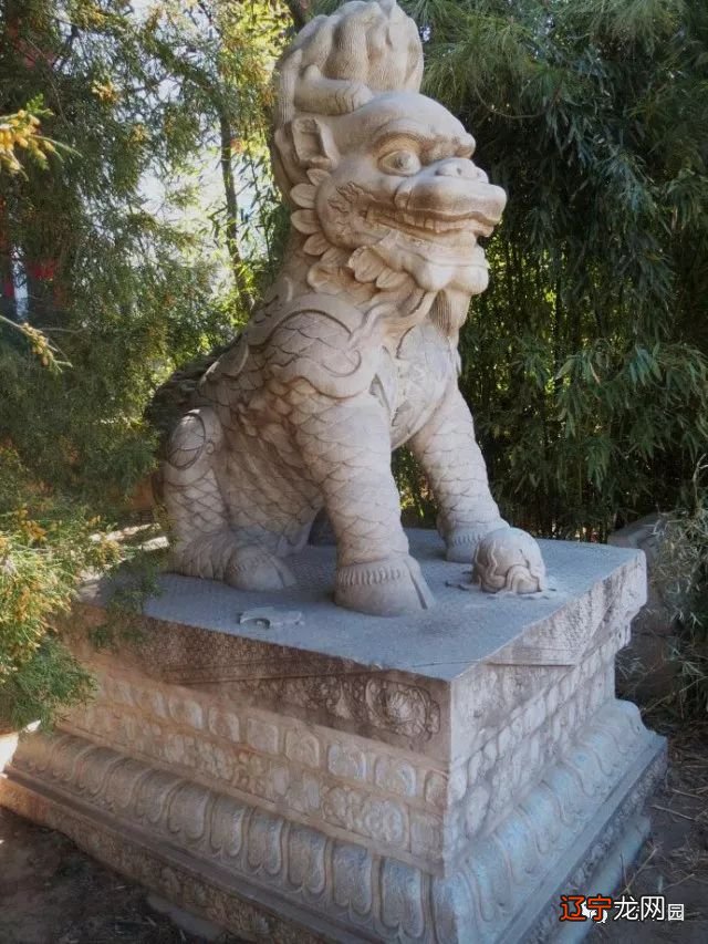 中国风水学院_中国易经风水学院_风水学院