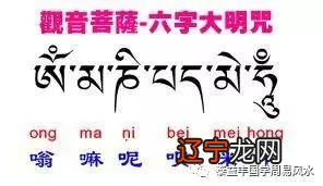 梦见风水宝地墓地_梦见祖先墓地_梦见家人墓地动迁