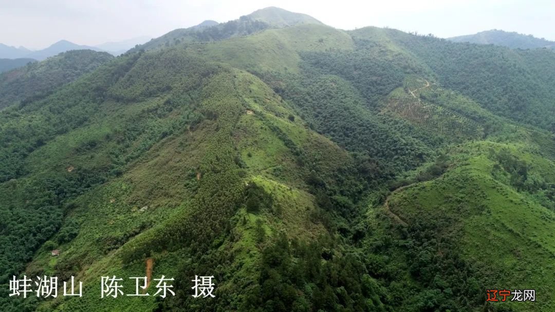 广州风水大师_广州风水学大师_2013中国风水大师排名 七大风水大师