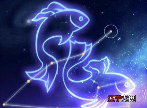 2015年11月6号双鱼星座运势_双鱼 象星座_星座火象水象