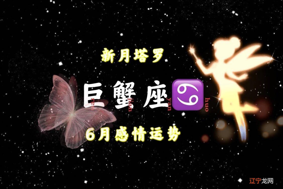 星座星象图_十二星座是什么星象_星座星象划分