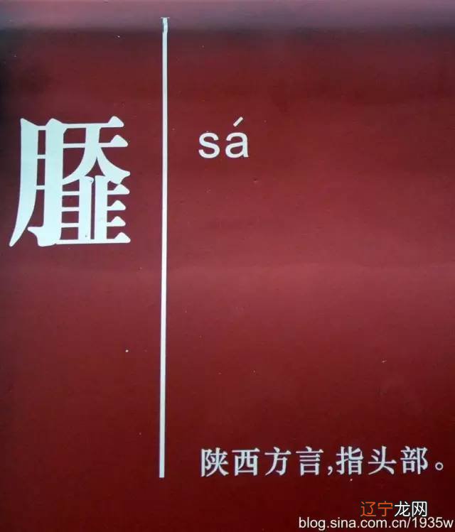 调查山西民俗的报告_山西民俗博物学子拜孔子_山西民俗特点图片