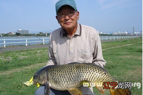 梦见河水里面好多活鱼_梦见好多死鱼活鱼_梦见一条活鱼好多死鱼