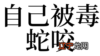 梦见毒蛇咬自己_梦见被毒蛇咬_梦见毒蛇咬出血