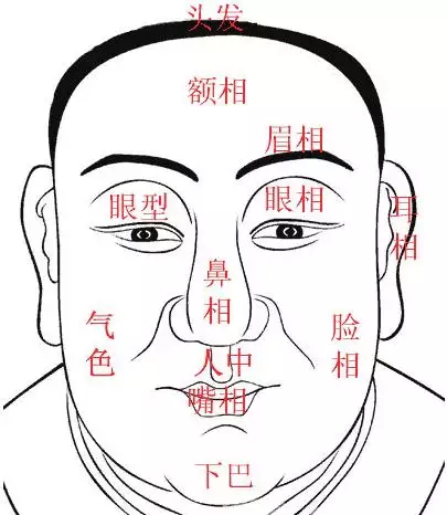 4、张鑫龙6月19日运势:请问74年1月21日和71年6月19日的八字合不合