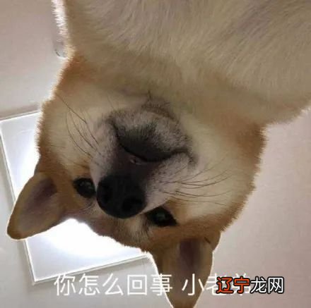 如何占卜算命 这是仙人JUMP的第179篇:更惨难过的是我去甲方那里