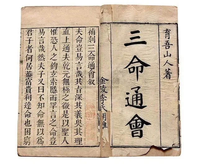 八字伤官为忌神是什么意思_八字十神是什么意思_八字里有金神是什么意思