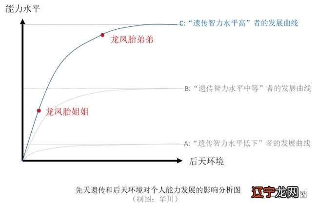 易经术数全部内容_易经象数基础_易经象数派著作