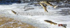 青海湖湟鱼洄游是几月份