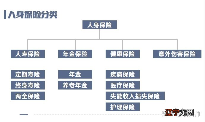 寿险包括哪些_传统寿险与新型寿险_寿险与非寿险