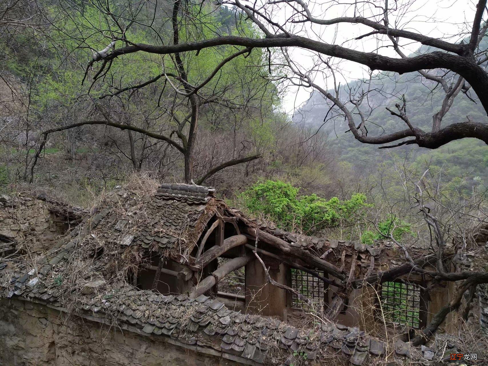 探险鬼城，泌阳“封门村”，这几天又该去好多主播了