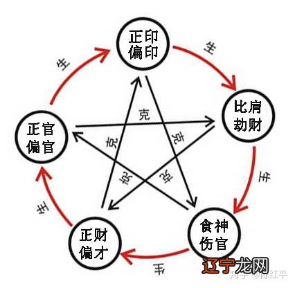 癸水的根有那些地支_地支藏干十神有用吗_地支有几个