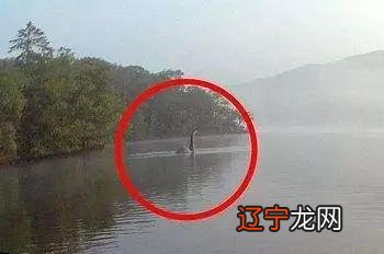 尼斯湖水怪真相_湖水湖水_尼斯湖水怪怪