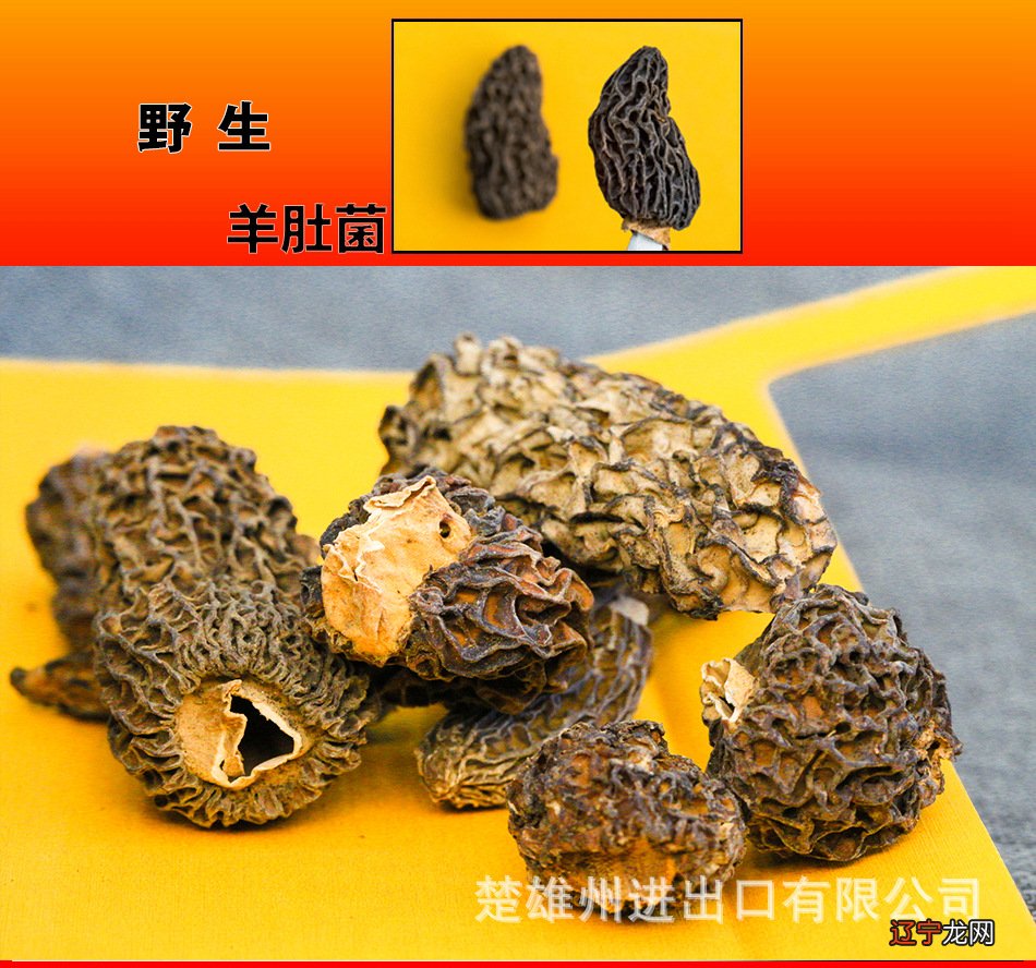 羊肚菌一斤多少钱_羊肚里有结石图片_单增李斯特菌和无害李斯特菌