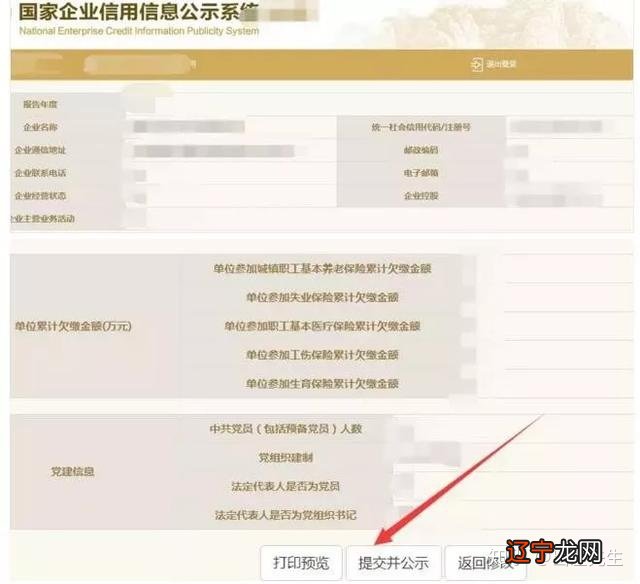 北京工商网上注册年检_福建省工商红盾网网上工商应用平台_工商网上年检