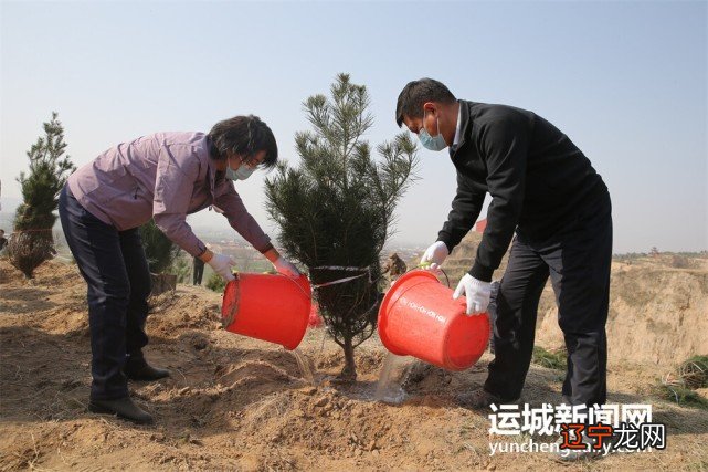 树欲静而风不止 子欲养而亲不待_水车车水水随车车停水止 风扇扇风,风出扇,扇动风_子亦养而亲不待的意思