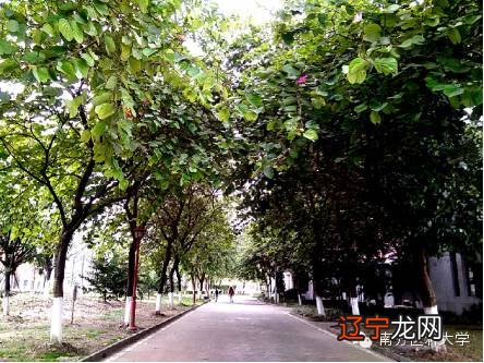 烟雨朦胧_烟雨朦胧图_烟朦胧 雨朦胧 烟雨朦胧