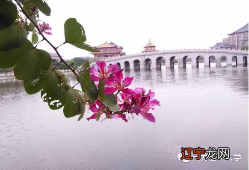 烟雨朦胧图_烟朦胧 雨朦胧 烟雨朦胧_烟雨朦胧