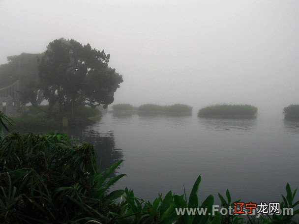 烟朦胧 雨朦胧 烟雨朦胧_烟雨朦胧图_烟雨朦胧