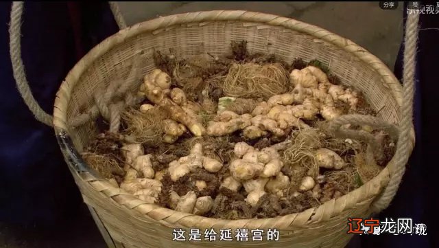 甄嬛传25集皇后帮了甄嬛吧_甄嬛传和甄嬛传之鸾凤还巢_甄嬛传有多少集