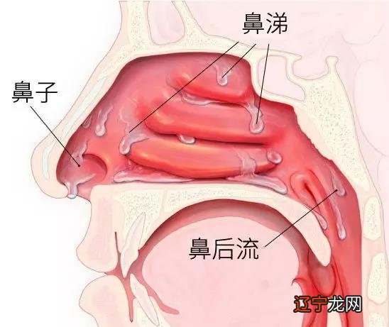 勒夫吃鼻屎_吃鼻屎_snakeu神吃鼻屎gif